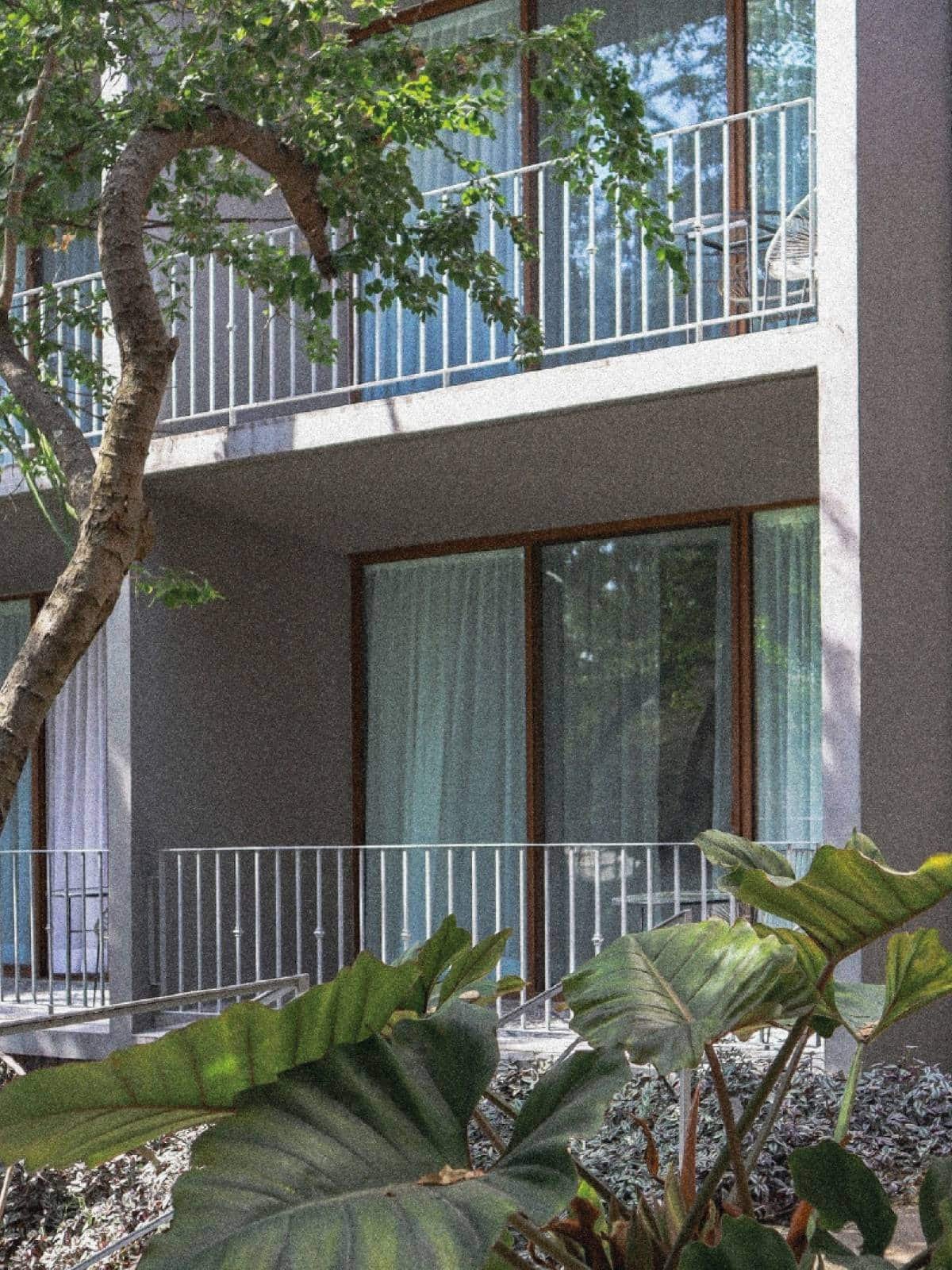 Un paraíso en Cuernavaca