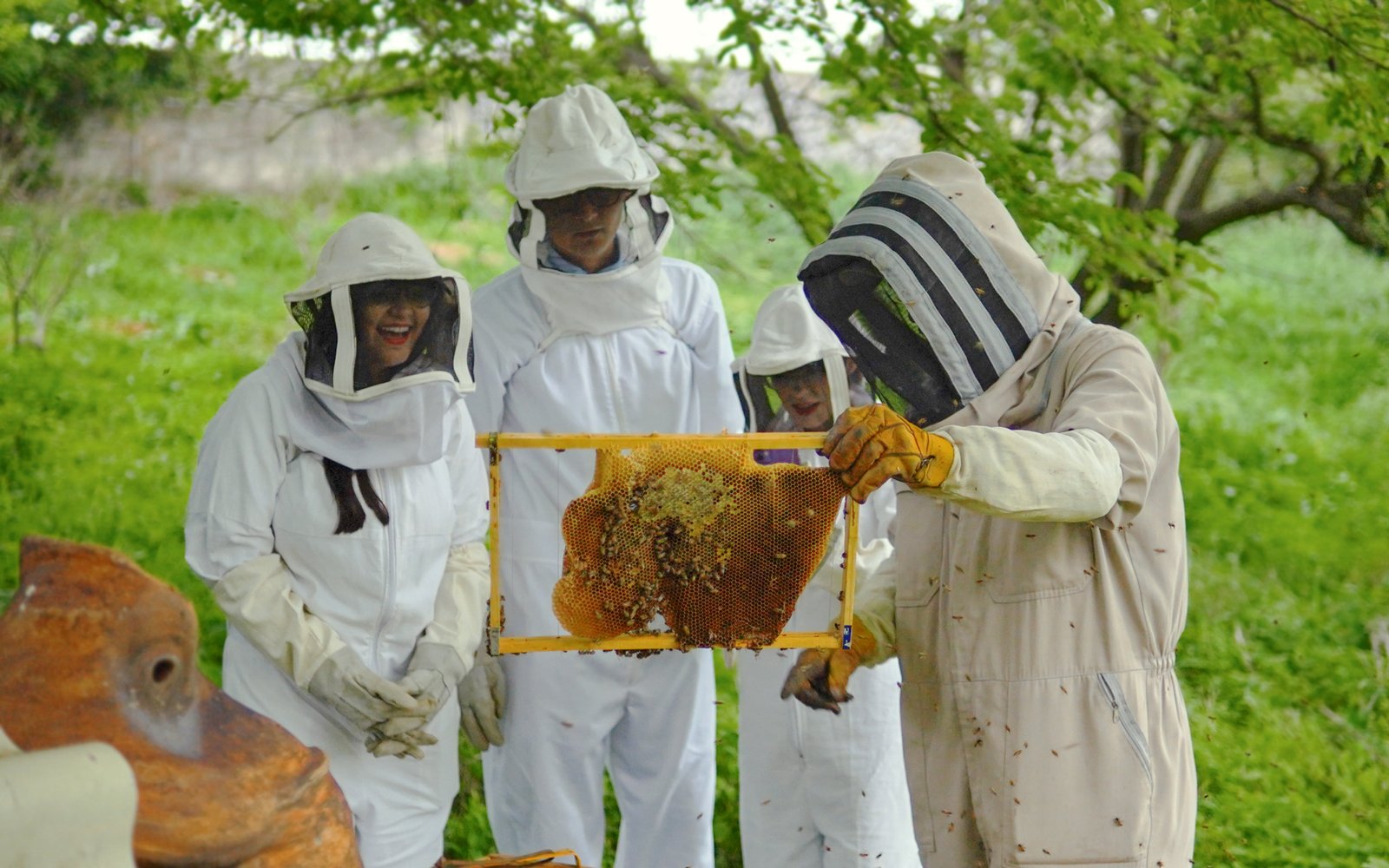 Paseo con abejas