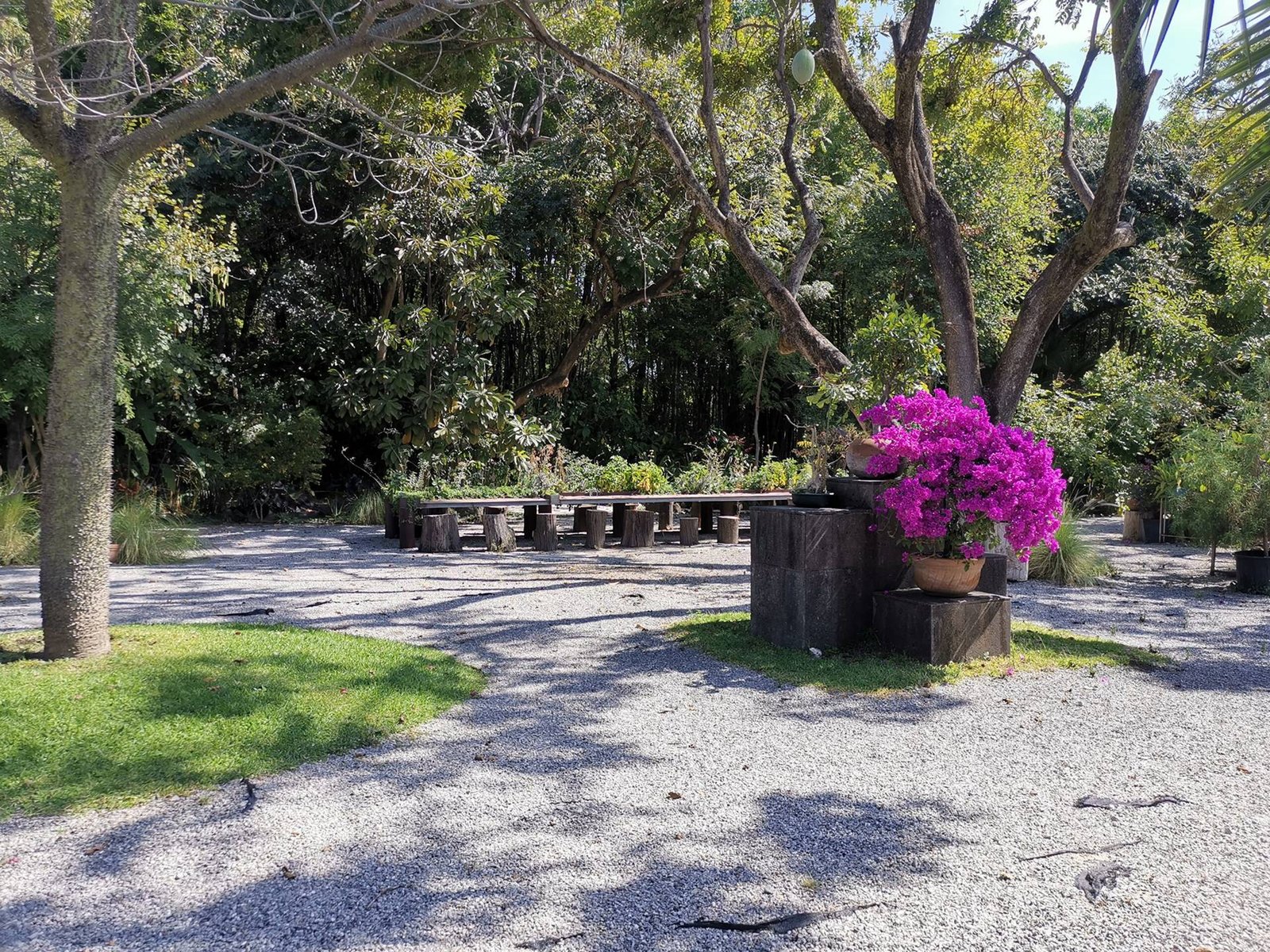 Parte del Jardín de Casa Agua
