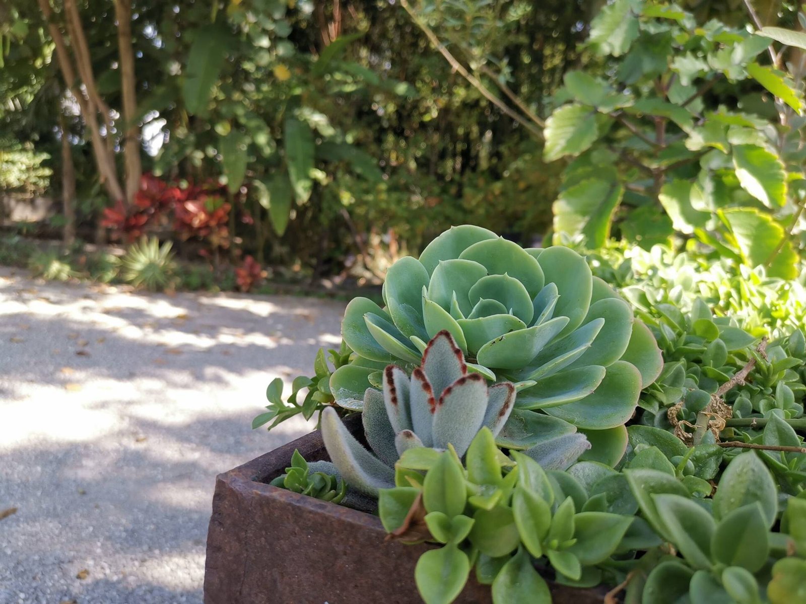 Jardín de Casa Agua