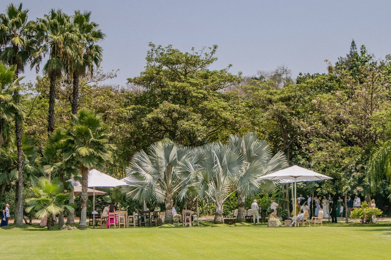 Vista al jardín ixaya