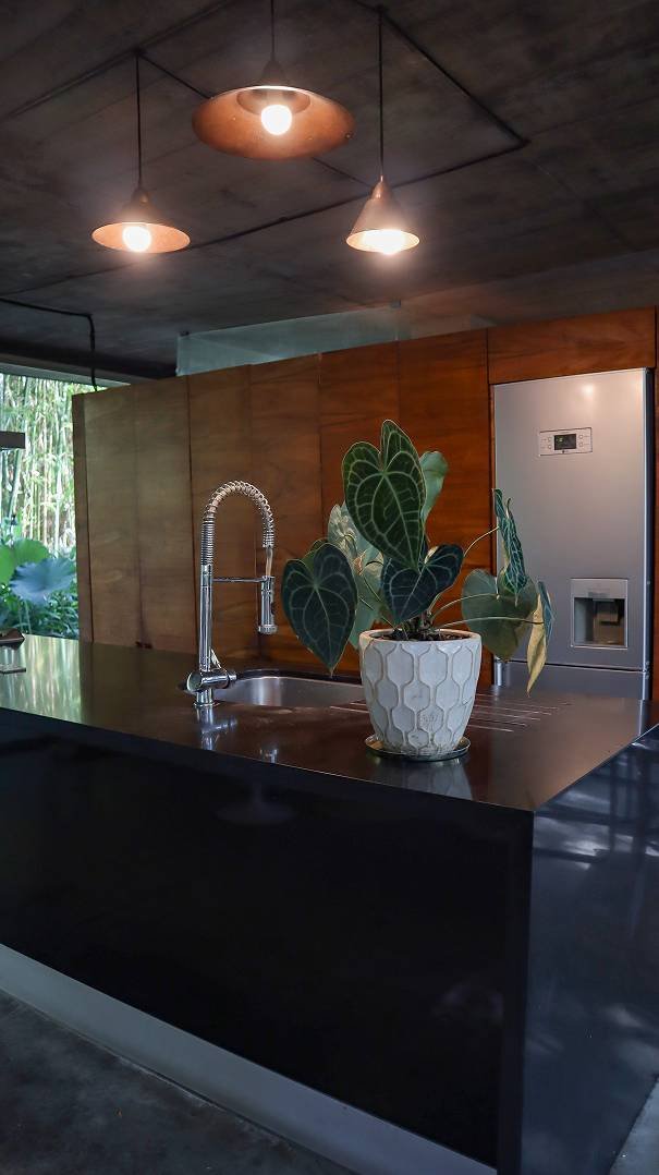 Detalle de la isla de la cocina grifo planta ornamental